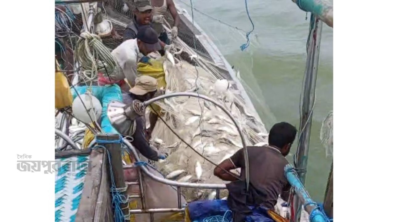 জেলেদের দুইটি ট্রলারে ধরা পড়েছে প্রায় ১১৬ মণ ইলিশ