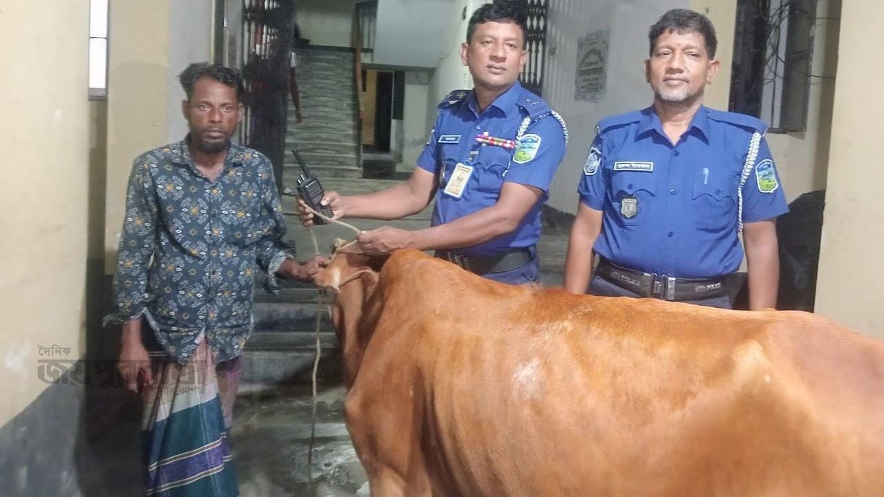 বারহাট্টায় চুরি হওয়া গর্ভবতী গাভী গরু পুলিশের সহায়তা উদ্ধার