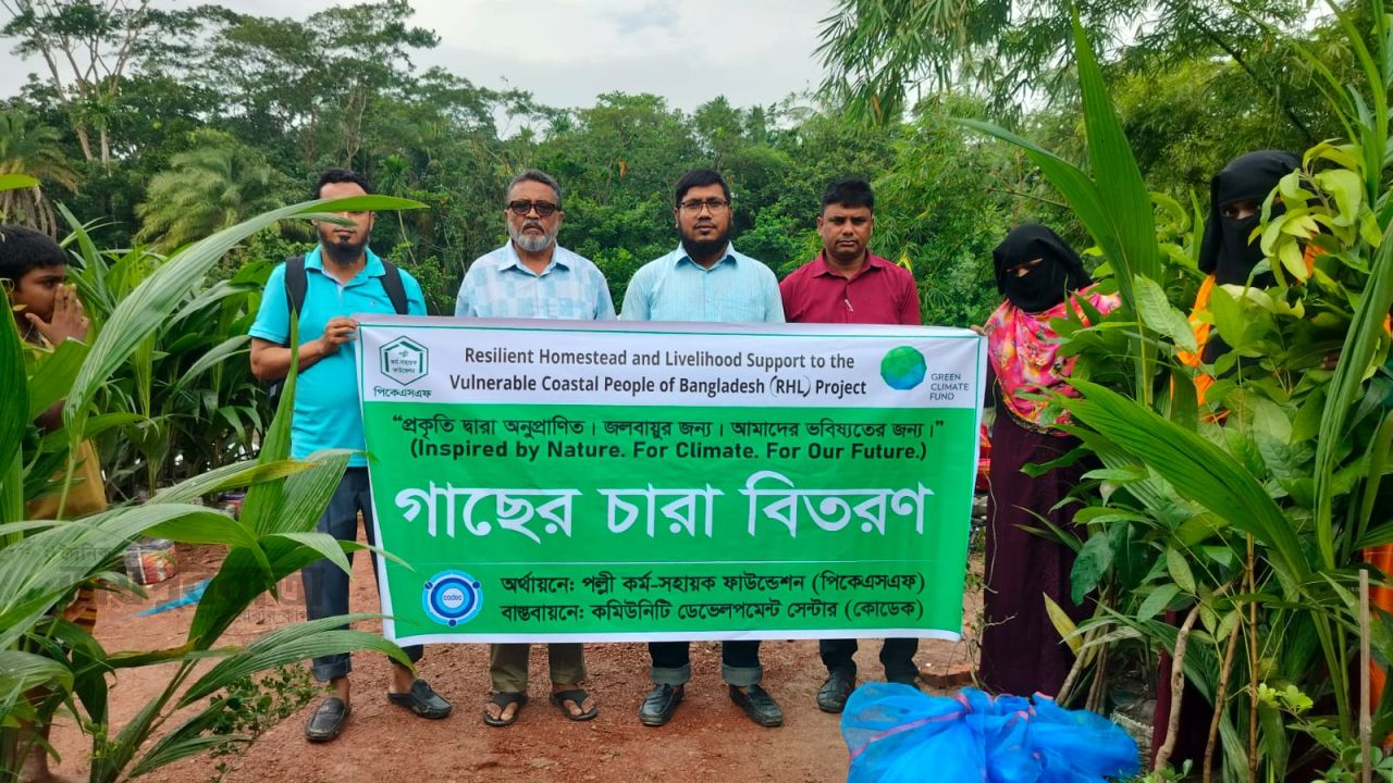 পাথরঘাটায় গাছের চারা ও বেষ্টনি নেট বিতরণ