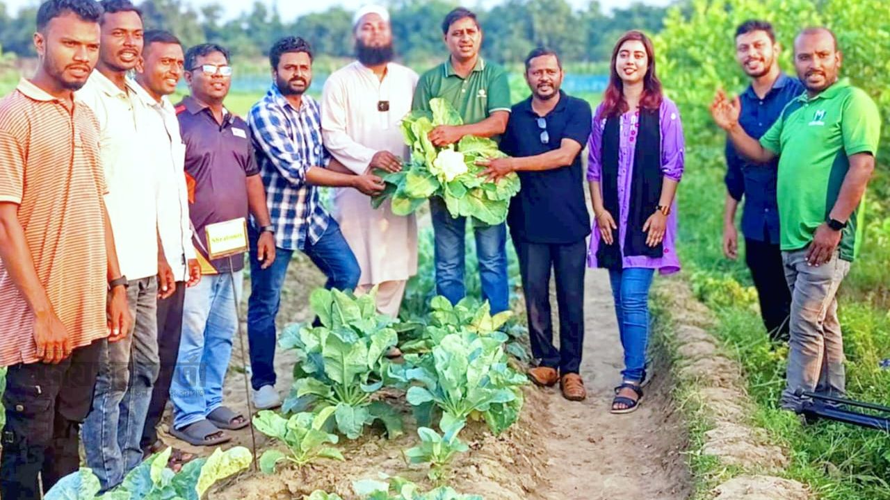 আগাম ফুলকপি ‘শ্রাবন্তী’র রেজাল্ট বিশ্লেষণ অনুষ্ঠিত 