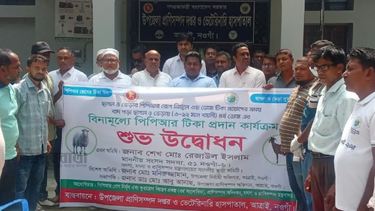 আত্রাইয়ে বিনামূল্যে পিপিআর টিকা প্রদান কার্যক্রমের উদ্বোধন 