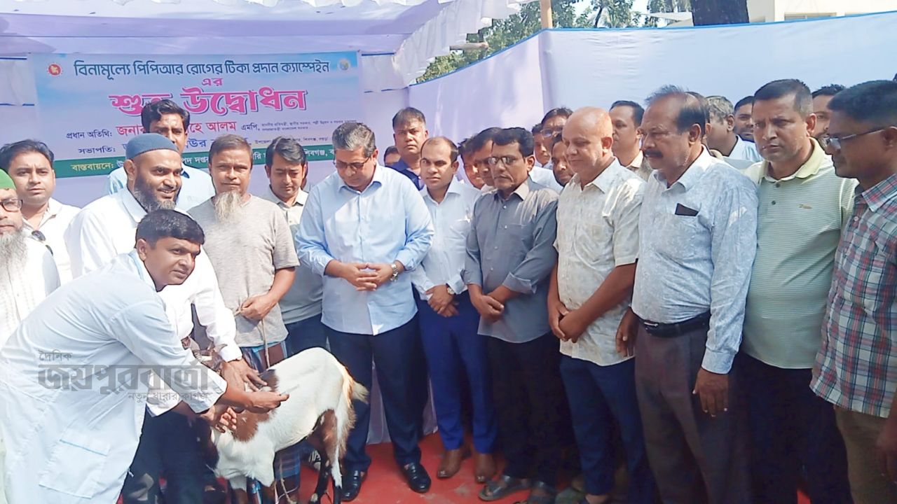 বিনামূল্যে পিপিআর রোগের টিকা প্রদান ক্যাম্পেইনের উদ্বোধন 