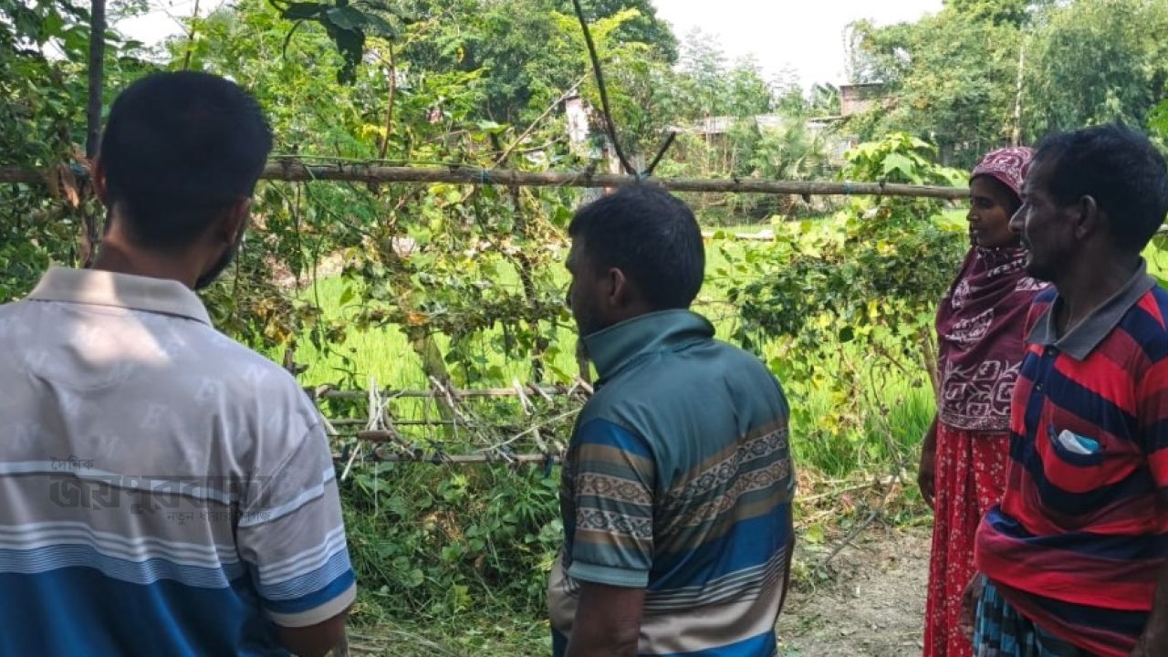 সাপাহারে কৃষকের সবজি ক্ষেত কেটে দিল দুর্বৃত্তরা