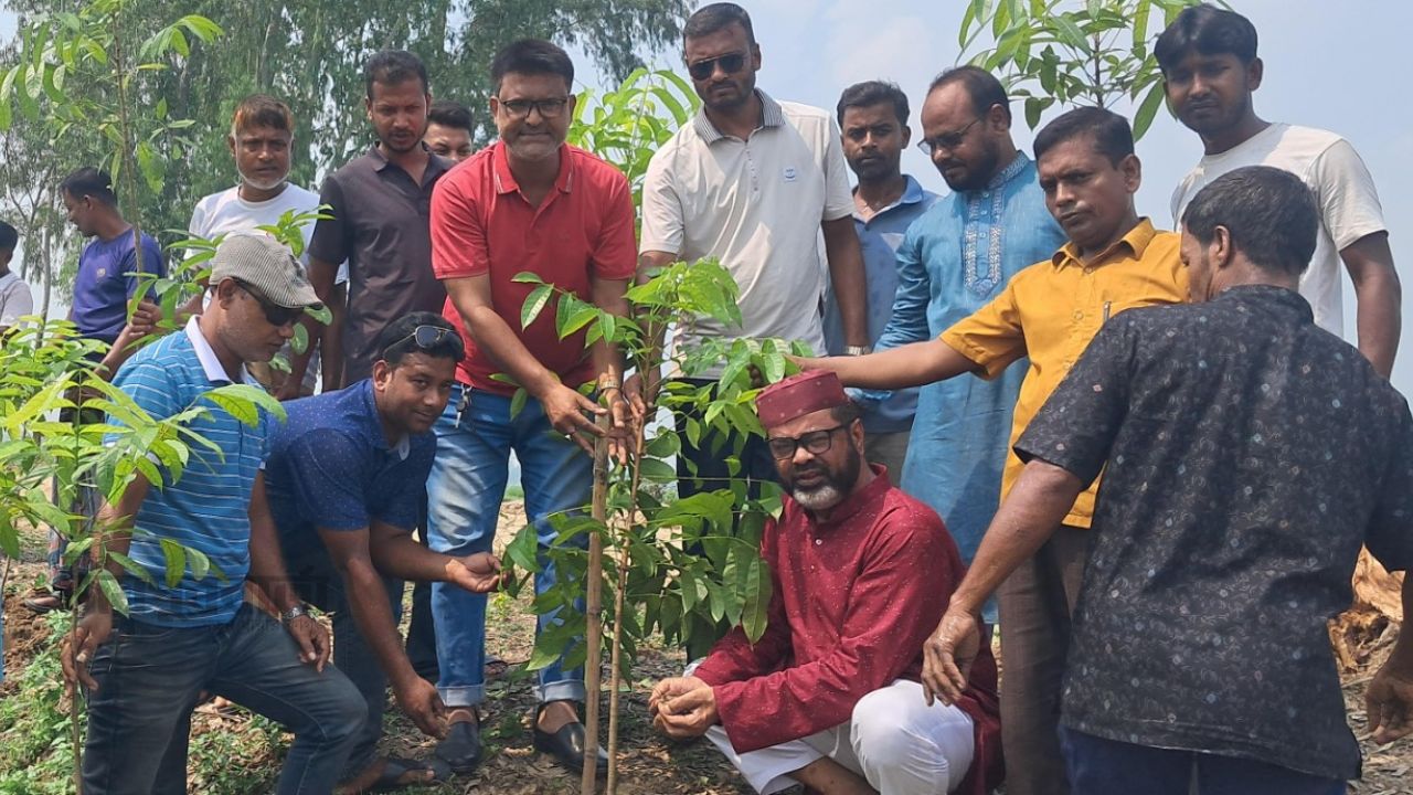 সান্তাহারে রক্তদহ বিলপাড়ে দুই হাজার গাছের চারা রোপণের উদ্যোগ