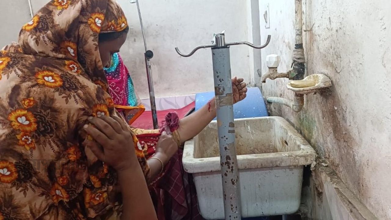 হিলিতে শিয়ালের কামড়ে নারী-শিশুসহ ৯ জন আহত