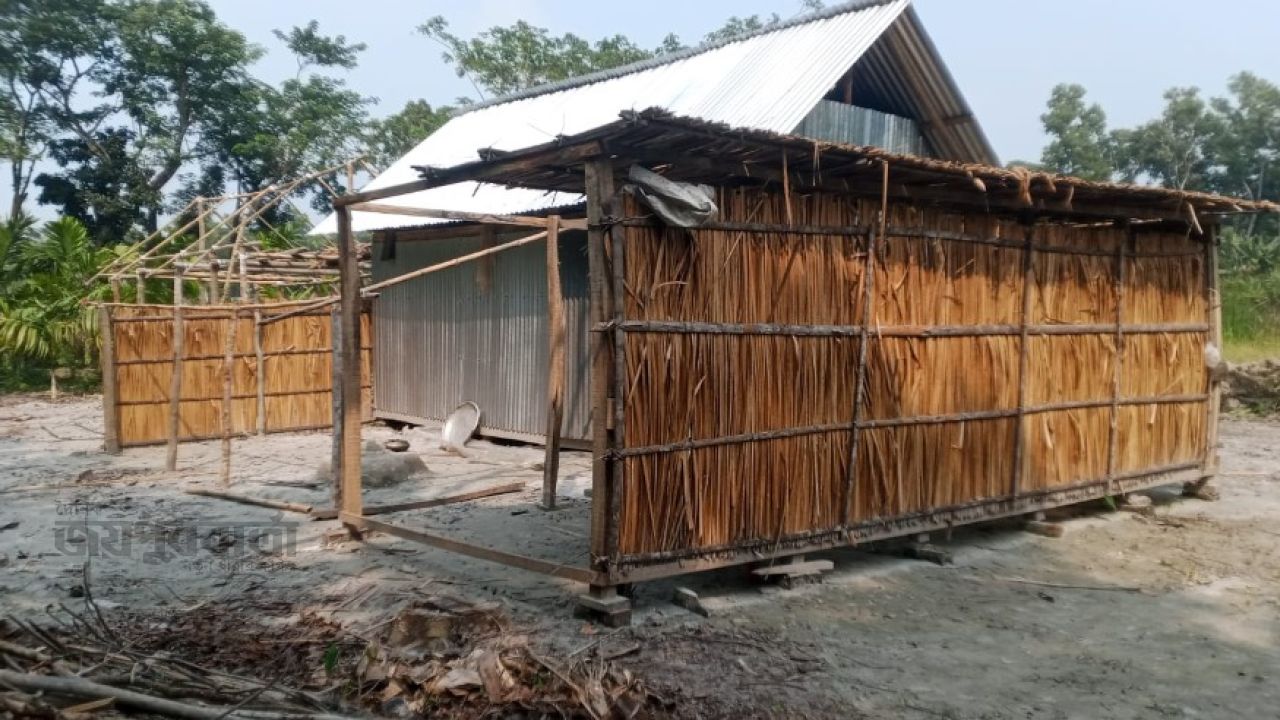 কাঁঠালিয়ায় প্রবীণ ব্যক্তির জমি দখল ও গাছ কাটার অভিযোগ