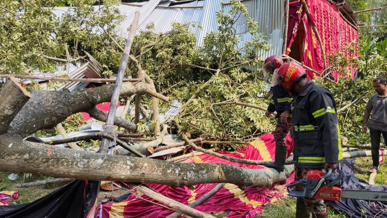 কাহালুতে দুর্গা মন্দিরে গাছ পড়ে নারী আনসার সদস্য আহত