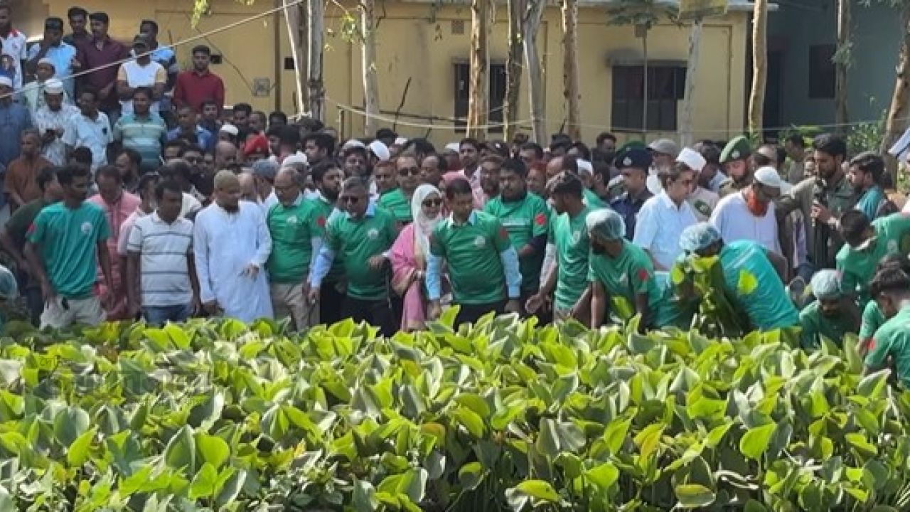 ডেঙ্গু প্রতিরোধে জনসচেতনতা বাড়াতে কালাইয়ে পরিচ্ছন্নতা অভিযানে প্রতিমন্ত্রী আব্দুল বারী 