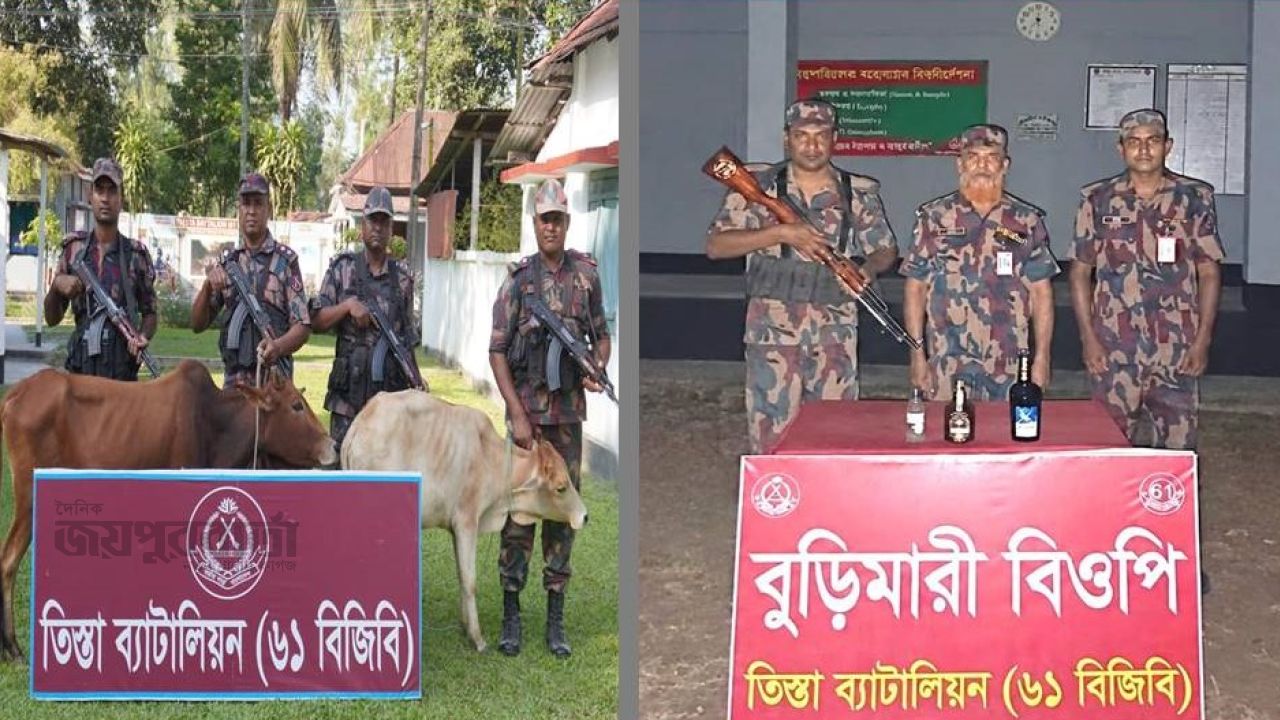 পাটগ্রাম সীমান্তে ৬১ বিজিবি কর্তৃক ভারতীয় মদ এবং গরু আটক