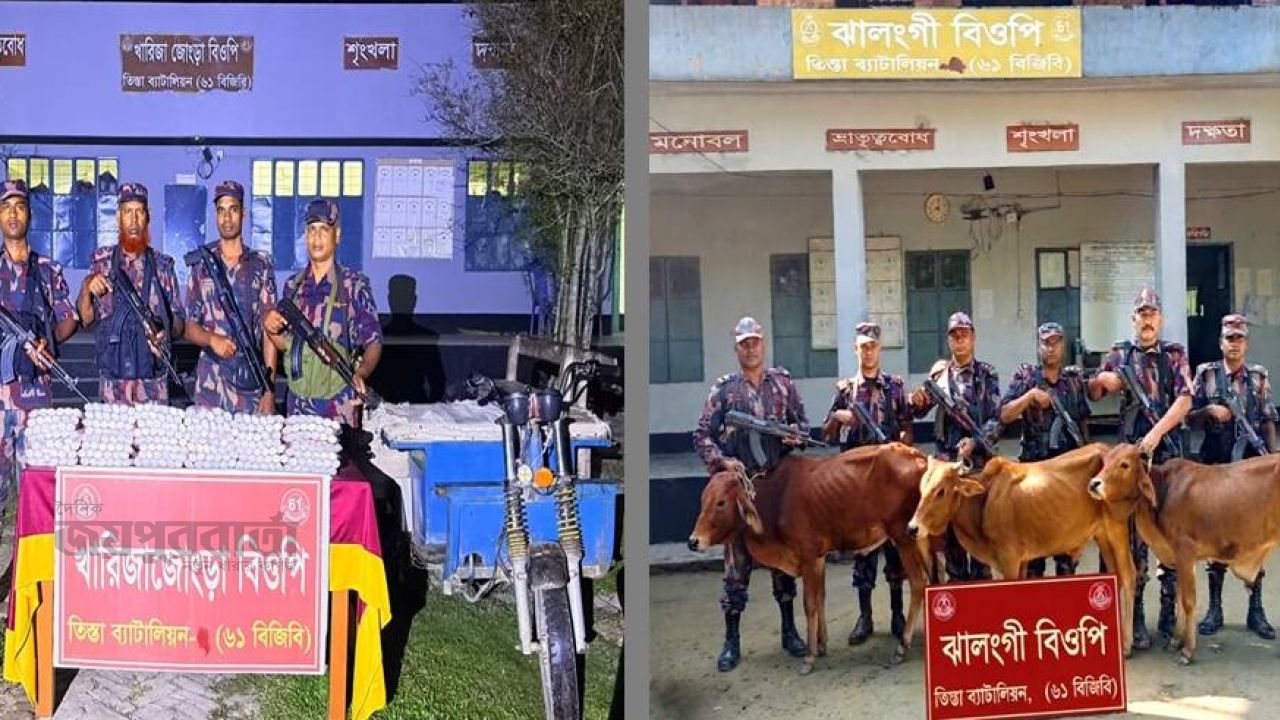 পাটগ্রাম সীমান্তে ৬১ বিজিবির ভারতীয় কসমেটিকস ও গরু আটক