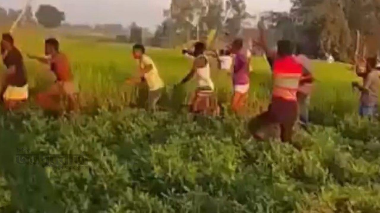 হাতীবান্ধায় লোকালয়ে ভারতীয় বাঘের হানা: নারীসহ আহত ৩