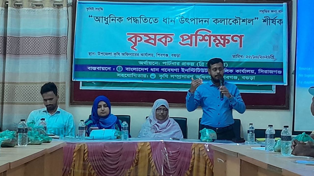 শিবগঞ্জে আধুনিক পদ্ধতিতে ধান চাষ বিষয়ে কৃষক প্রশিক্ষণ