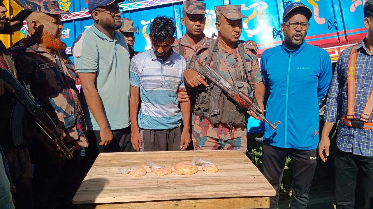 দিনাজপুর বিজিবির অভিযানে ট্রাকসহ ইয়াবা জব্দ,আটক ১
