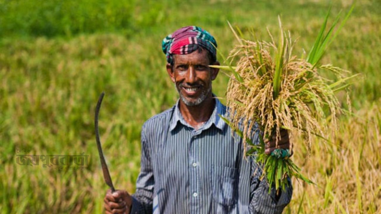 ঋণের বোঝা কমেছে ১৪ লাখ কৃষকের, বাড়ছে অর্থনৈতিক গতি 