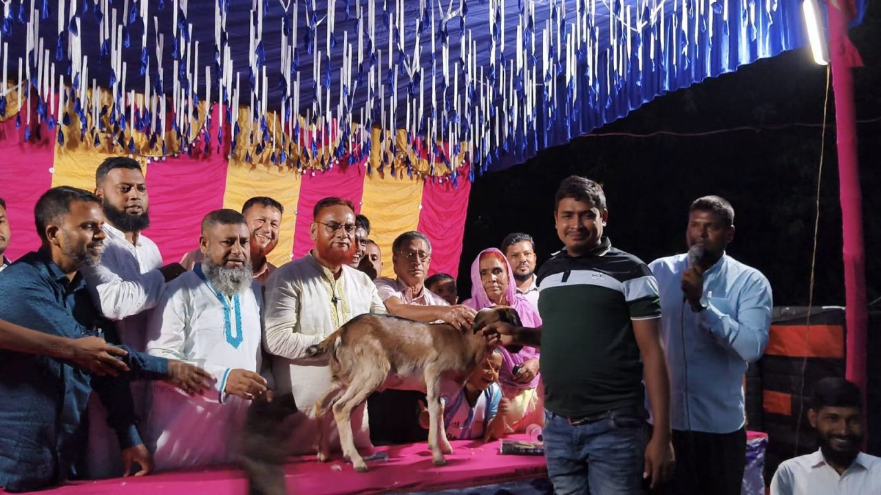 কাহালুতে জুনিয়র মিনি বার ফুটবল ফাইনাল খেলা অনুষ্ঠিত